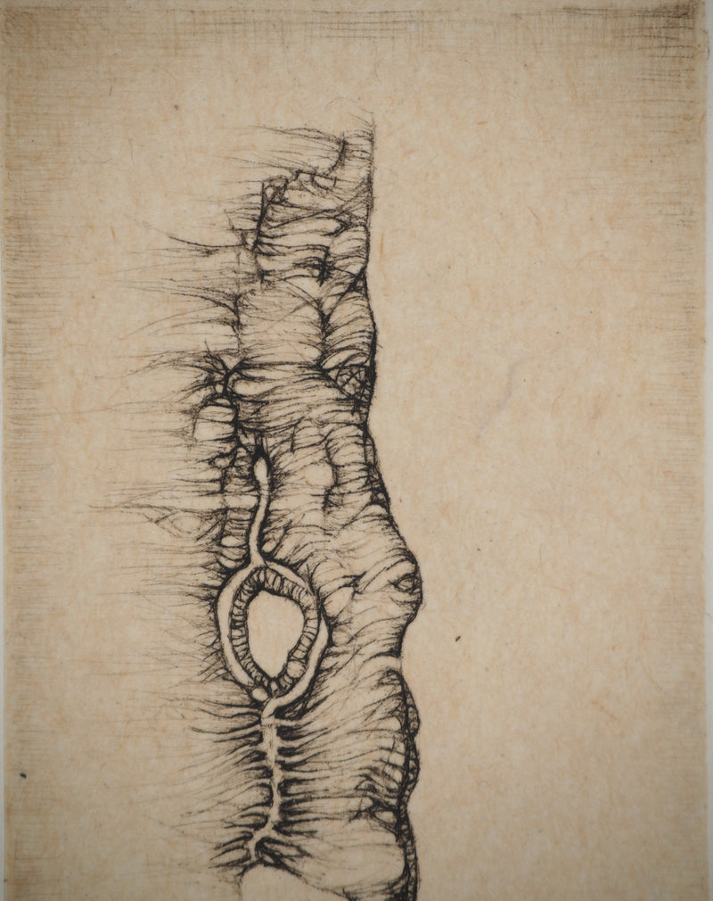Fred DEUX : Petit manuel : Verbe noir, Gravure originale (photo de détail 5) - Crédit photo : Galerie Art.Paris