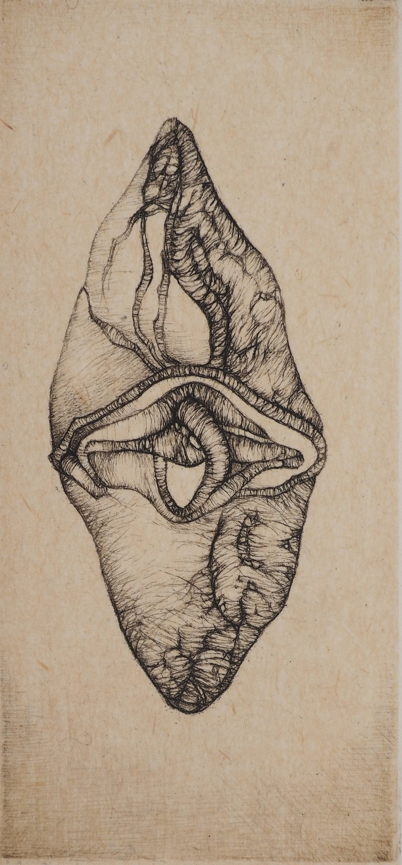 Fred DEUX : Petit manuel : Vie sublimée, Gravure originale (photo de détail 3) - Crédit photo : Galerie Art.Paris