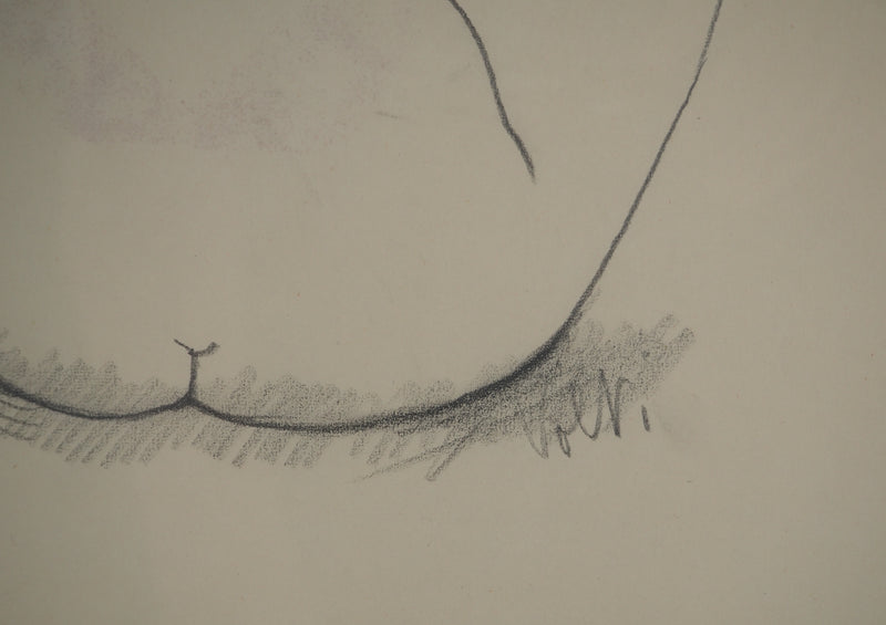 Antonuccio VOLTI : Nu de dos, Dessin original signé