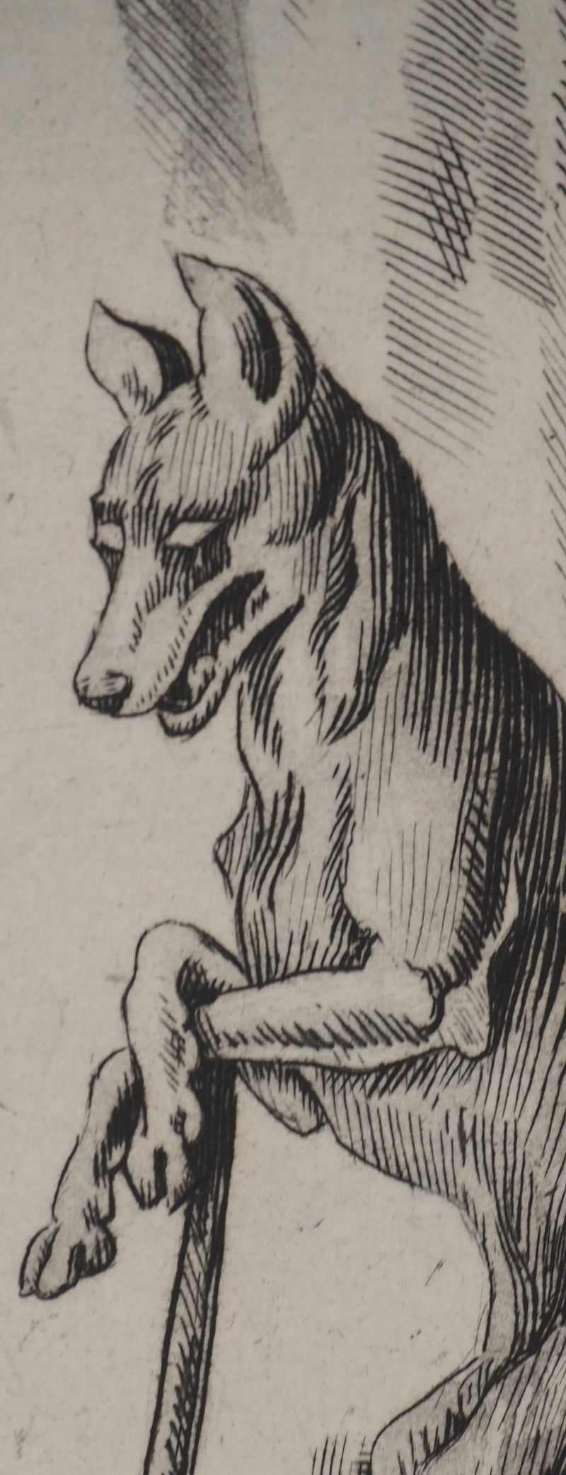 Pierre GANDON : Le petit chaperon rouge et le loup, Gravure originale (photo de détail 4) - Crédit photo : Galerie Art.Paris
