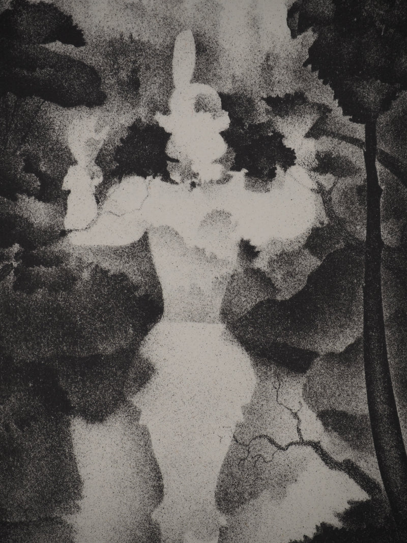 Alexandre ALEXEIEFF : Les contes : La belle au bois dormant, Lithographie originale (vue générale) - Crédit photo : Galerie Art.Paris