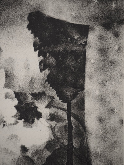 Alexandre ALEXEIEFF : Les contes : La belle au bois dormant, Lithographie originale (photo de détail 5) - Crédit photo : Galerie Art.Paris