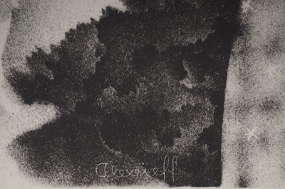 Alexandre ALEXEIEFF : Les contes : La belle au bois dormant, Lithographie originale (photo de détail 2) - Crédit photo : Galerie Art.Paris