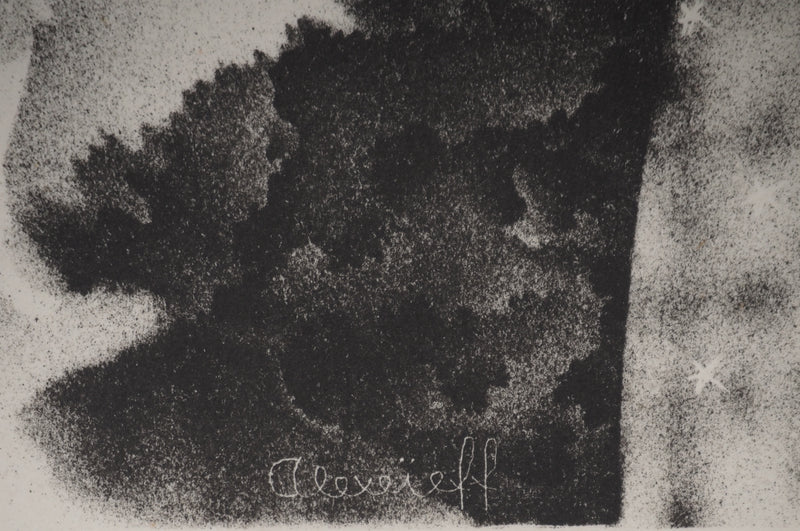 Alexandre ALEXEIEFF : Les contes : La belle au bois dormant, Lithographie originale (photo de détail 2) - Crédit photo : Galerie Art.Paris