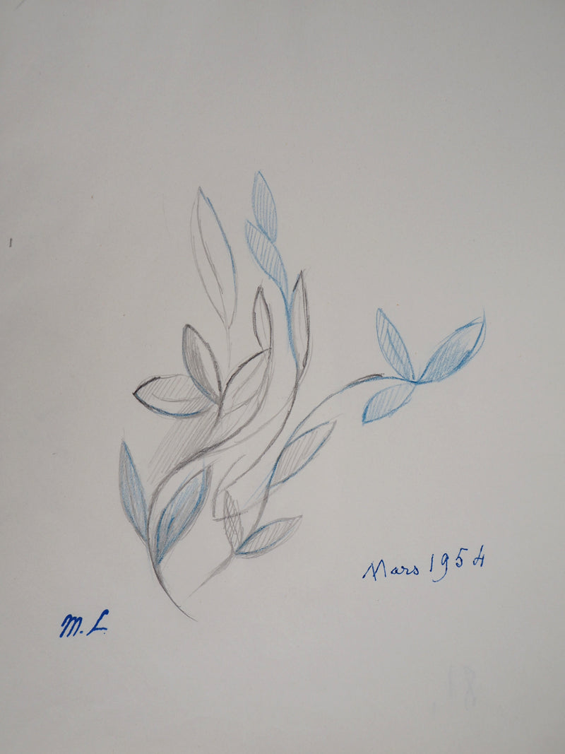 Marie LAURENCIN : Composition végétale, Dessin original signé