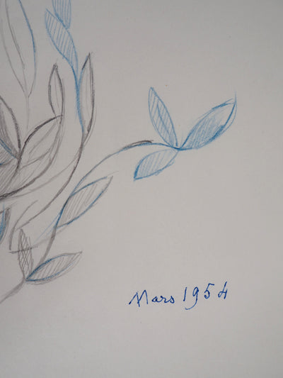 Marie LAURENCIN : Composition végétale, Dessin original signé