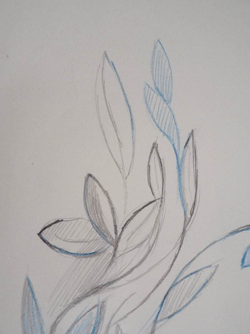 Marie LAURENCIN : Composition végétale, Dessin original signé