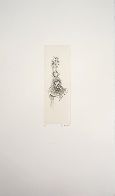 Cecile REIMS : L'Herbier charnel 11, Gravure originale signée