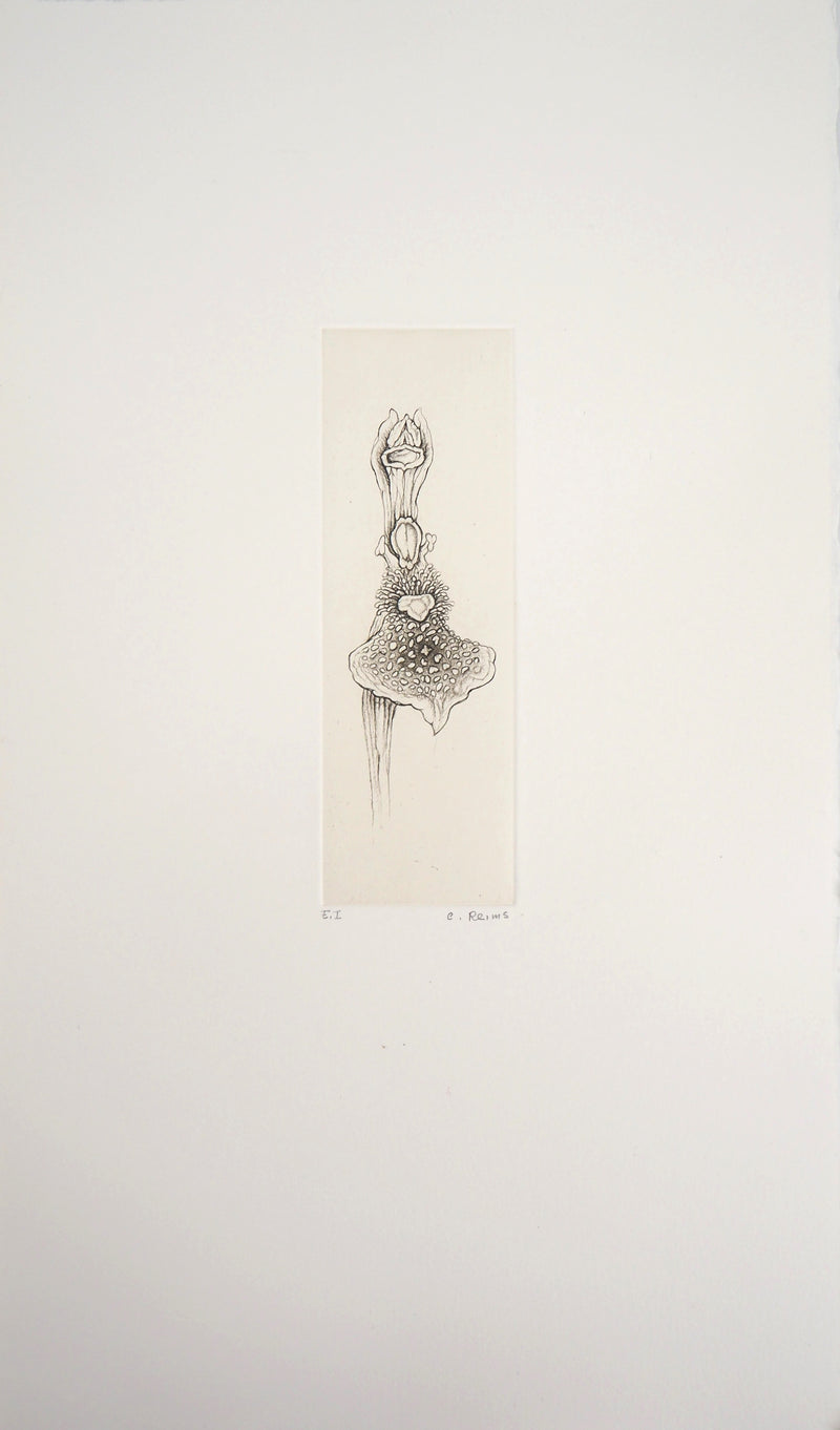 Cecile REIMS : L&