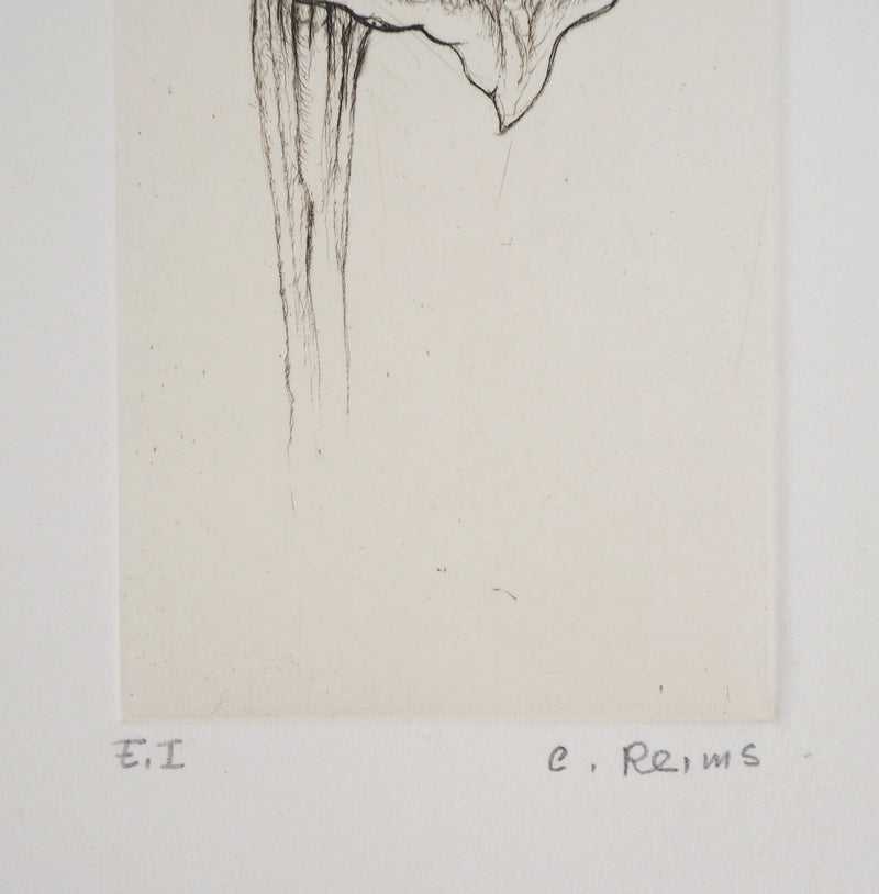 Cecile REIMS : L&