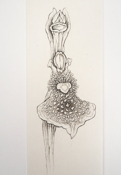 Cecile REIMS : L'Herbier charnel 11, Gravure originale signée