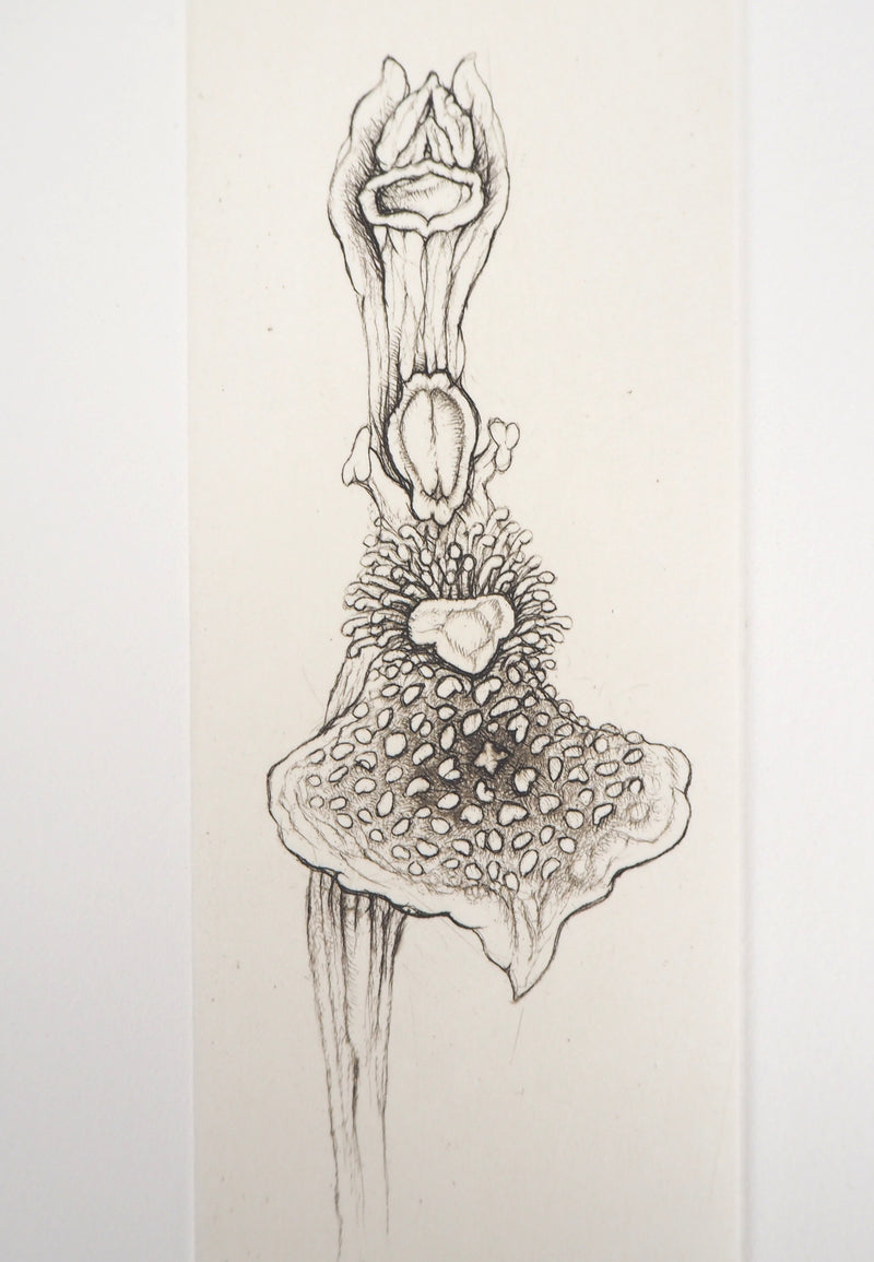 Cecile REIMS : L&
