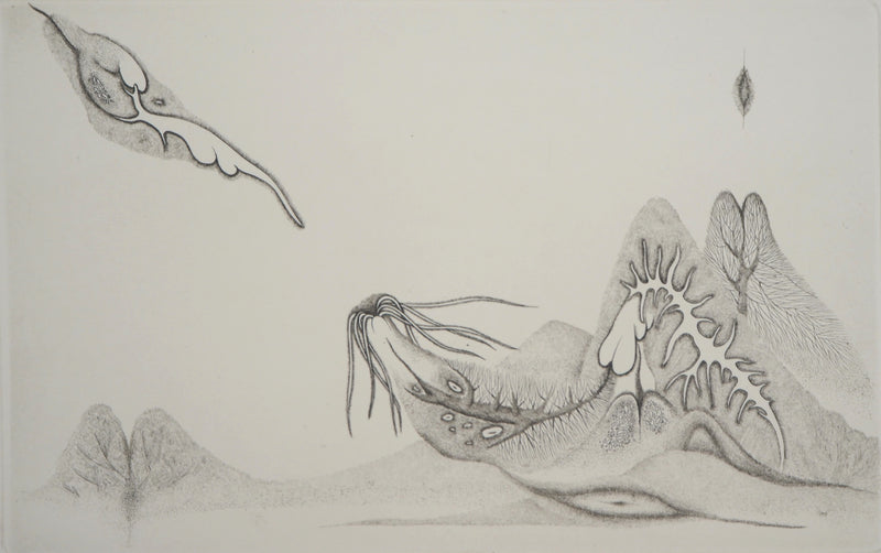 Cécile REIMS : Cosmogonies 4, Gravure originale signée