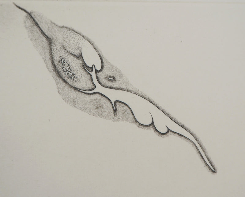Cécile REIMS : Cosmogonies 4, Gravure originale signée
