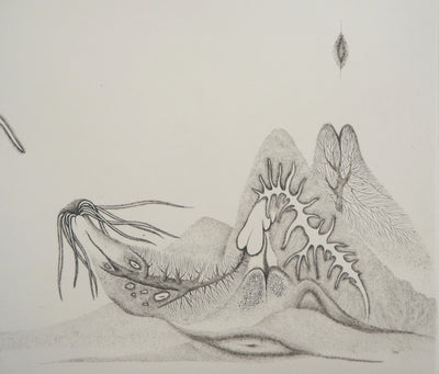 Cécile REIMS : Cosmogonies 4, Gravure originale signée
