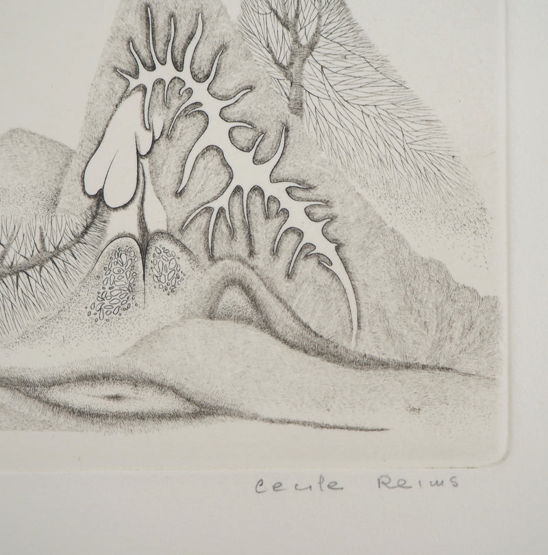Cécile REIMS : Cosmogonies 4, Gravure originale signée