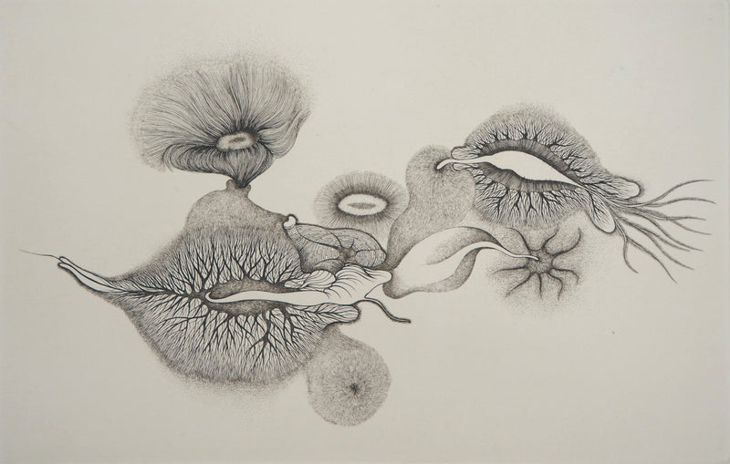 Cécile REIMS : Cosmogonies 6, Gravure originale signée