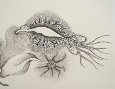 Cécile REIMS : Cosmogonies 6, Gravure originale signée