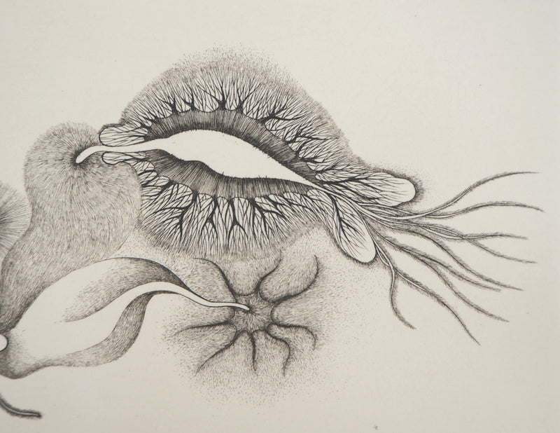 Cécile REIMS : Cosmogonies 6, Gravure originale signée