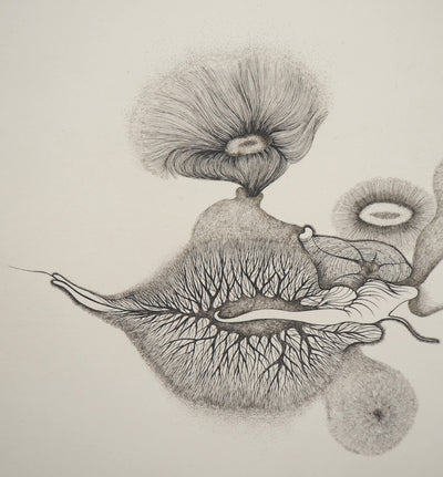 Cécile REIMS : Cosmogonies 6, Gravure originale signée