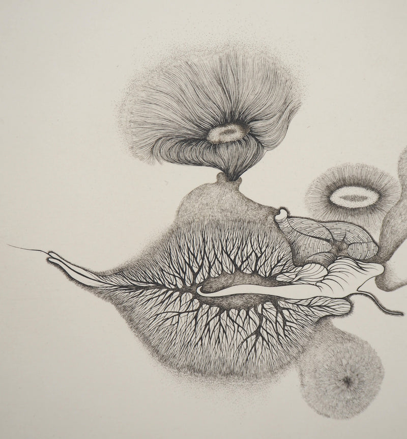 Cécile REIMS : Cosmogonies 6, Gravure originale signée