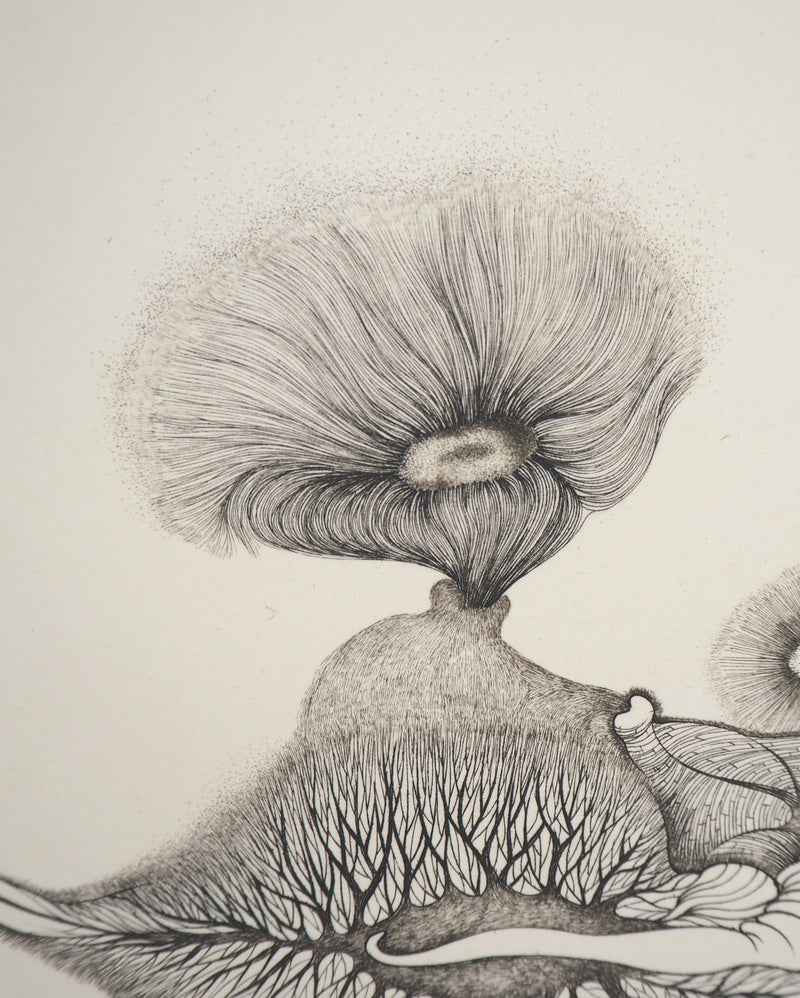 Cécile REIMS : Cosmogonies 6, Gravure originale signée