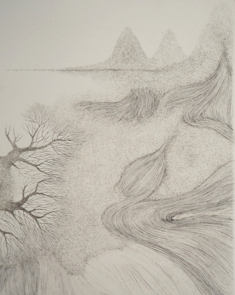 Cécile REIMS : Cosmogonies 2, Gravure originale signée