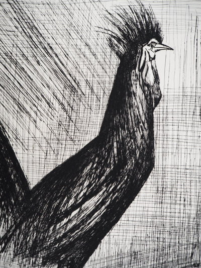 Bernard BUFFET : Le coq, Gravure originale (photo de détail 5) - Crédit photo : Galerie Art.Paris