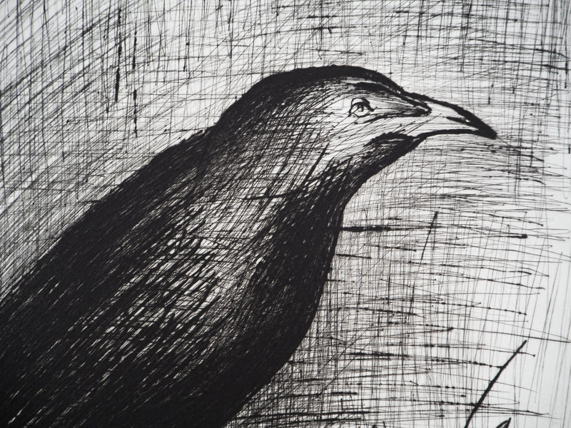 Bernard BUFFET : Le corbeau, Gravure originale (photo de détail 6) - Crédit photo : Galerie Art.Paris