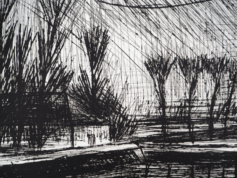 Bernard BUFFET : La maison sous les arbres, Gravure originale (photo de détail 4) - Crédit photo : Galerie Art.Paris