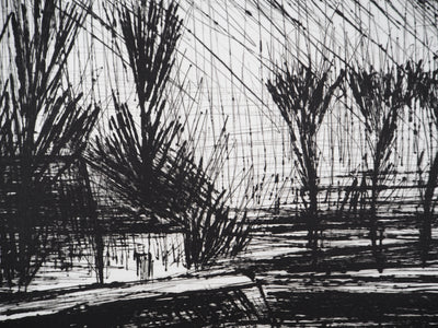 Bernard BUFFET : La maison sous les arbres, Gravure originale (photo de détail 6) - Crédit photo : Galerie Art.Paris