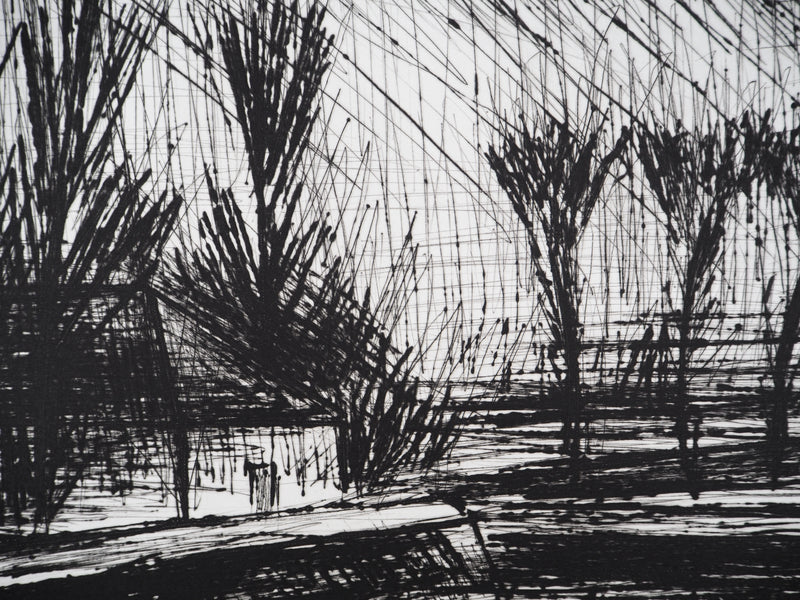 Bernard BUFFET : La maison sous les arbres, Gravure originale (photo de détail 6) - Crédit photo : Galerie Art.Paris