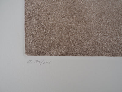 Salvador DALI : Don Quichotte, L'Héritage, Gravure originale (photo de détail 9) - Crédit photo : Galerie Art.Paris