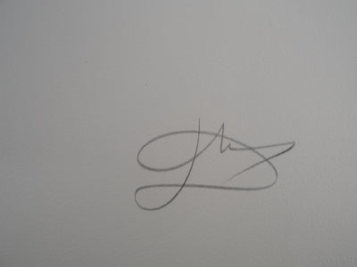 Salvador DALI : Don Quichotte, L'Héritage, Gravure originale (photo de détail 2) - Crédit photo : Galerie Art.Paris
