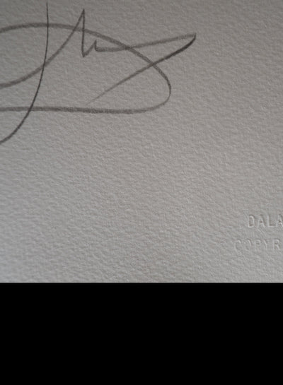 Salvador DALI : Don Quichotte, L'Héritage, Gravure originale (photo de détail 10) - Crédit photo : Galerie Art.Paris