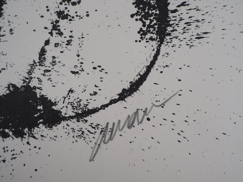 ARMAN : Violon en éclat, Lithographie originale signée