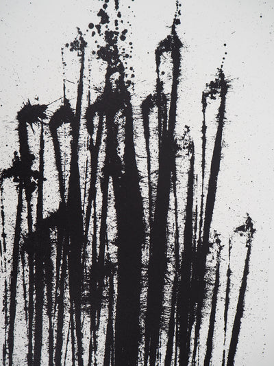 ARMAN : Accumulation d'archets, Lithographie originale signée