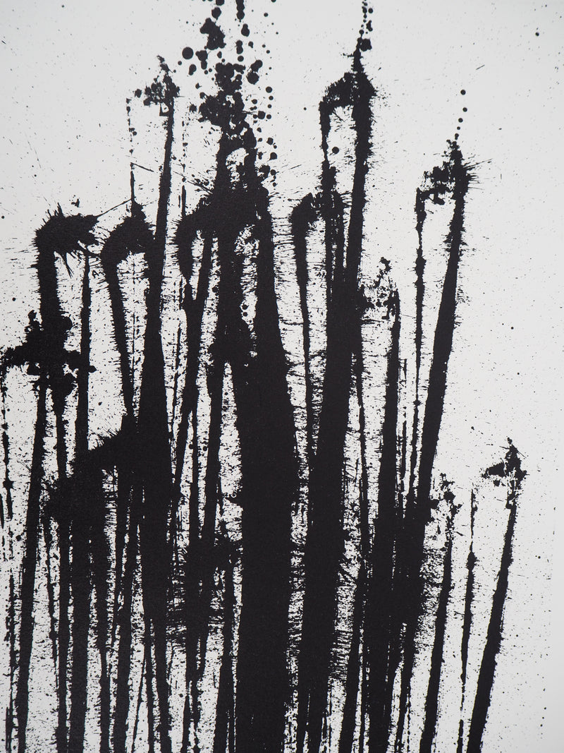 ARMAN : Accumulation d&