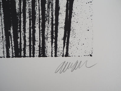 ARMAN : Accumulation d'archets, Lithographie originale signée