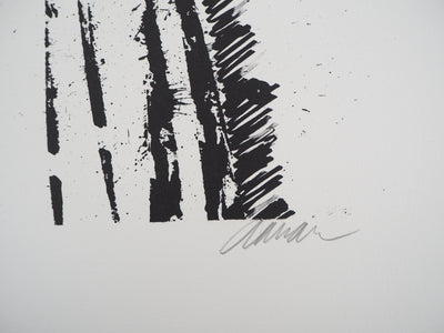 ARMAN : La Volute de violon, Lithographie originale signée (Copie)