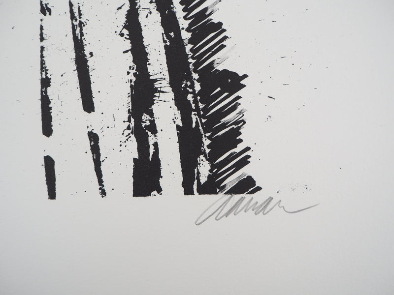 ARMAN : La Volute de violon, Lithographie originale signée (Copie)
