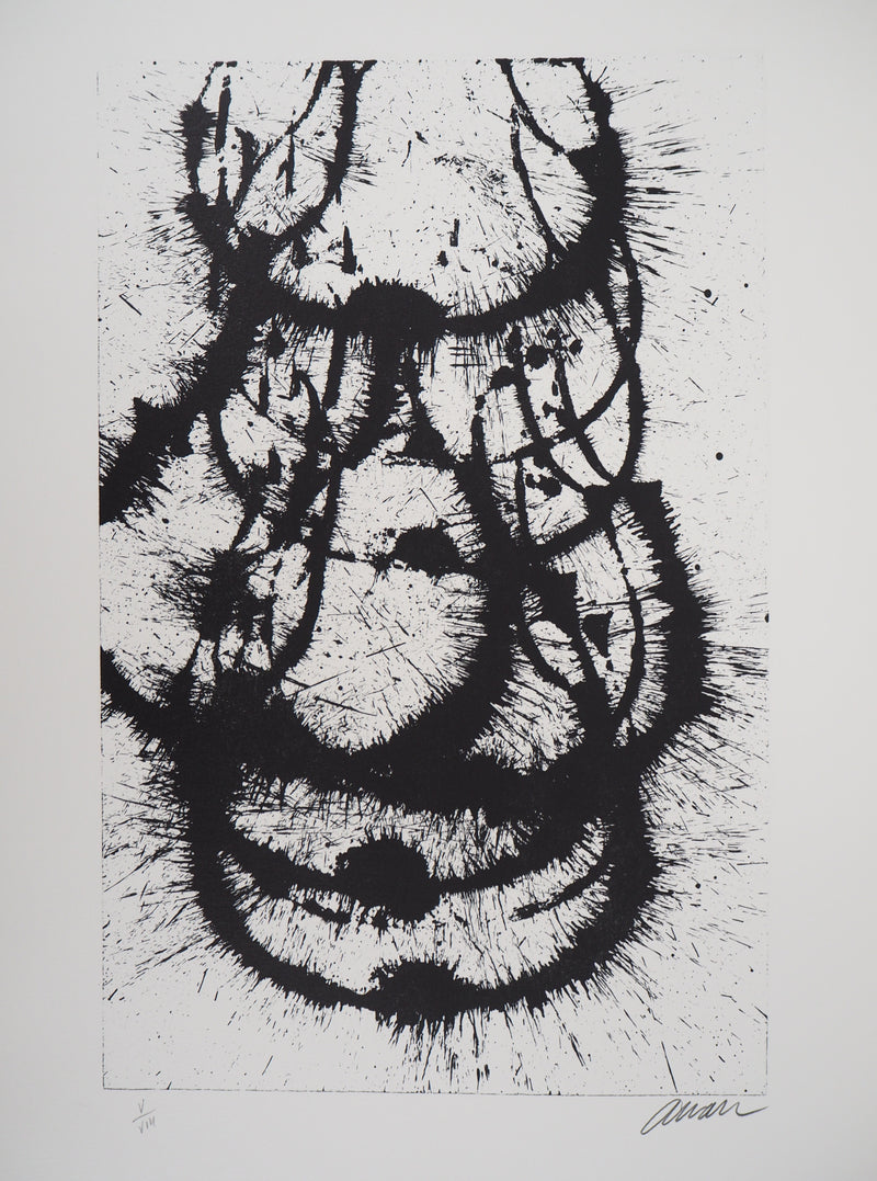 ARMAN : Corps de violon en éclat, Lithographie originale signée