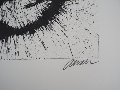 ARMAN : Corps de violon en éclat, Lithographie originale signée