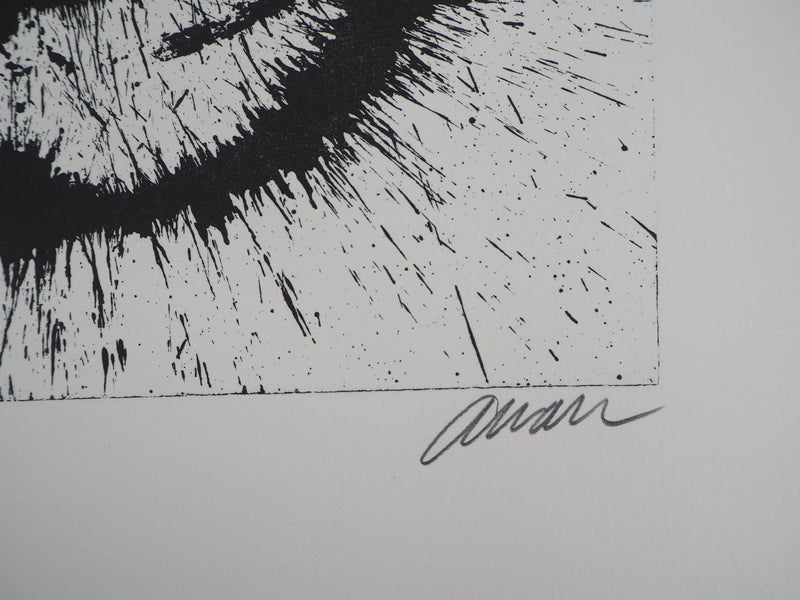 ARMAN : Corps de violon en éclat, Lithographie originale signée