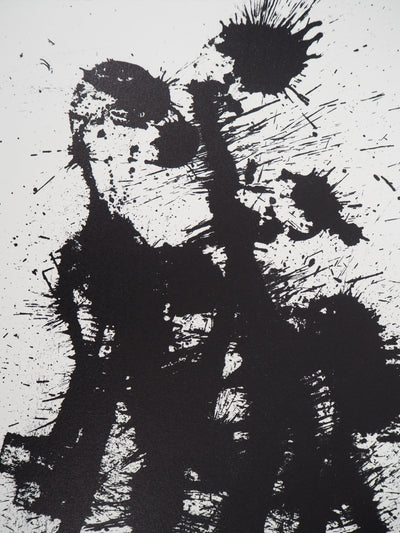 ARMAN : Projection d'un violon, Lithographie originale signée