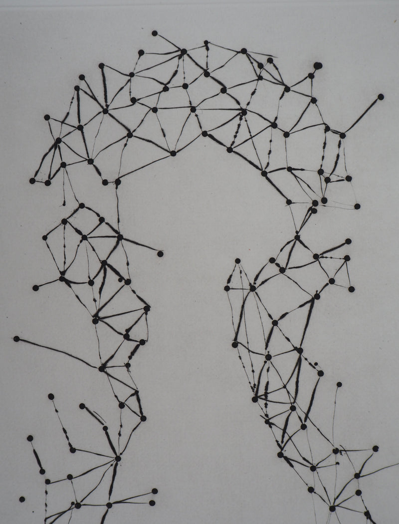 ARMAN : La constellation violon, Gravure originale signée