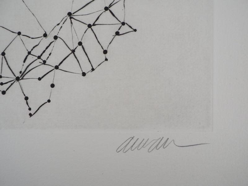 ARMAN : La constellation violon, Gravure originale signée