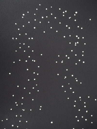 ARMAN : Molécules d'un violon, Gravure originale signée