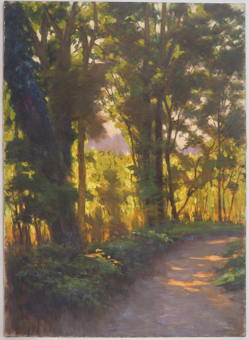Charles WISLIN : Jeux de lumière en forêt, Huile sur toile signée