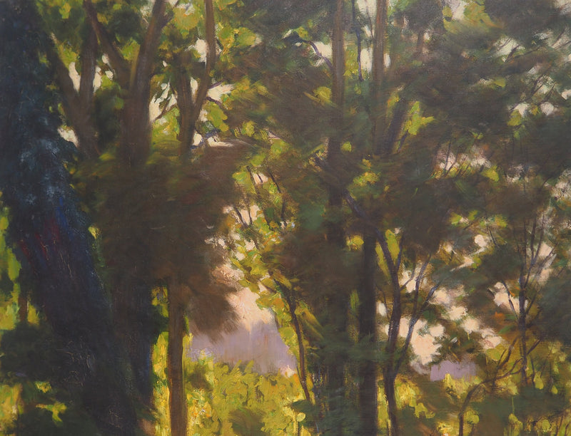 Charles WISLIN : Jeux de lumière en forêt, Huile sur toile signée